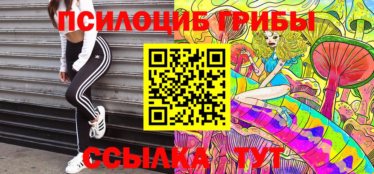 Галлюциногенные грибы Cubensis Семилуки